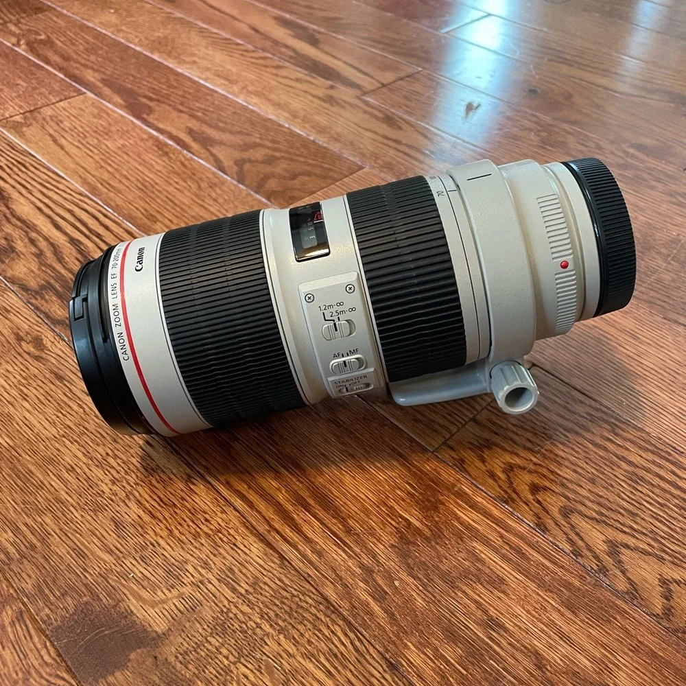 Canon EF 70-200 2.8 lll with lens hood and Canon case